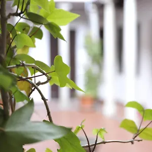 Appartement Adanar-las Columnas Grenade